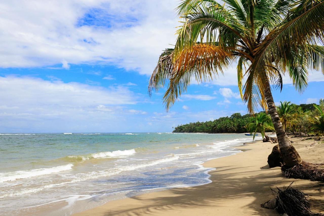 Loftscacao Apartments, Villas Cacao, Near To Playa Bonita Limon Экстерьер фото